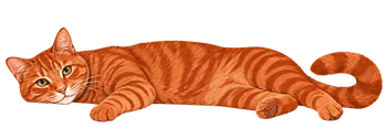 Gato atigrado naranja tumbado